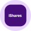 iShares MSCI Brazil Tokenized ETF (Ondo) icon