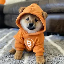 Dog (Bitcoin) icon